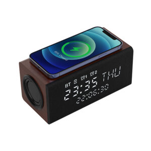 Bluetooth speaker with wireless charger